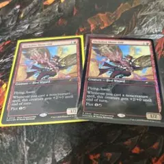 目立ちたがり　2枚セット