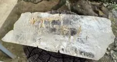 Item thumbnail for item d89c6fdc-fa25-420b-91e9-bf9c462fdf41