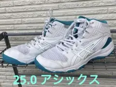 asics アシックス　バスケ バスケットボールシューズ ホワイト 25.0