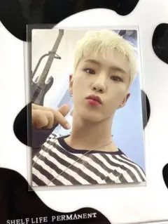seventeen セブチ　sector17 ホシ