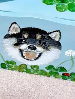 ティッシュボックス　柴犬