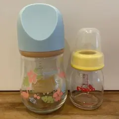 Item thumbnail for item 0ae3cff9-8b5d-48e4-b5ab-82150fdbc4f0