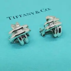 【美品】TIFFANY u0026 Co. イヤリング シグネチャー シルバー 925