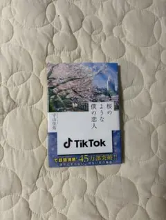小説 桜のような僕の恋人 宇山佳佑