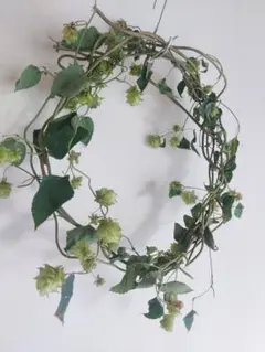 ホップのつるリース 約30cm
