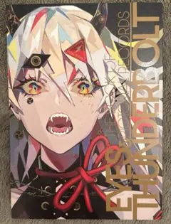 LAM初個展図録「目と雷」雷雷公社 個展画集 イラスト集