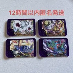 ポケモンフレンダ第五弾スーパートレジャーボーマンダタケルライコゼルネアスセット