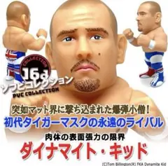 ジグソー様　タイガーマスク　青タイツver. HAO コレクション　（未使用) m80747230743_1.jpg?1738297709
