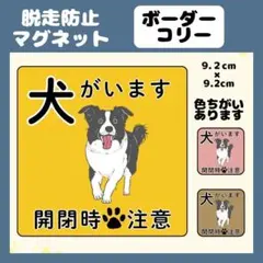 【ボーダーコリー】マグネット　飛び出し注意　犬がいます　玄関　注意　脱走防止