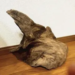 アク抜き済み流木
