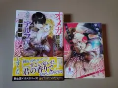 TL小説2冊セット　オパール文庫　メリッサ