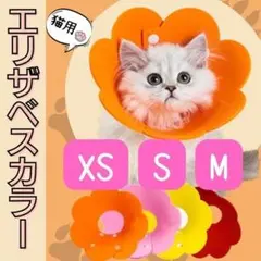 エリザベスカラー 猫 ネコ 舐め防止 襟 えり 可愛い 送料無料 フェルト素材