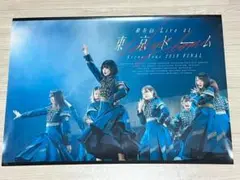 欅坂46（櫻坂46）クリアポスター２枚セット（B2サイズ）/東京ドーム 2019