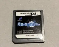 DS 暗闇の果てで君を待つ