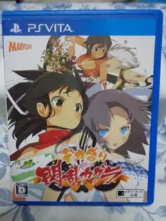 PSVITA デカ盛り 閃乱カグラ 動作可能