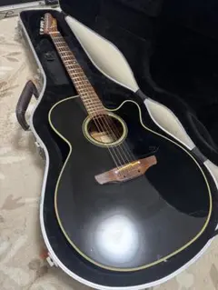 Takamine TDP500SP-WR エレアコ 純正ソフトケース付 2025年最新】takamine tdpの人気アイテム - メルカリ
