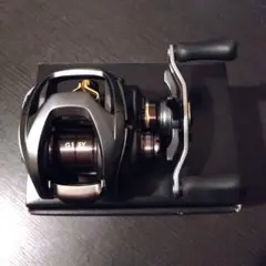 ダイワ DAIWA スティーズ SV TW 6.3:1