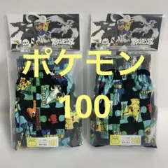 100サイズ 2枚 ポケモン ベストウィッシュ トランクス