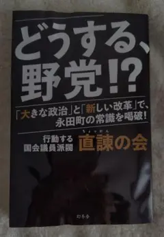 どうする、野党！？ 「大きな政治」と「新しい改革」で、永田町の常識を喝破！