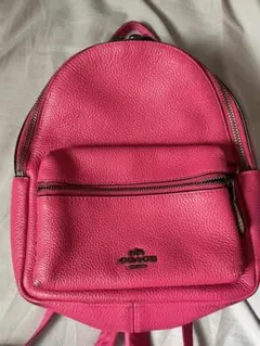 ピンク リュック ジッパーポケット付き