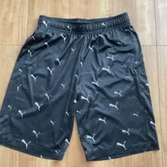 PUMA ブラック ハーフパンツ 160