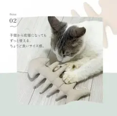 Item thumbnail for item 21e8bb09-53e1-4743-afae-645c7ccac458
