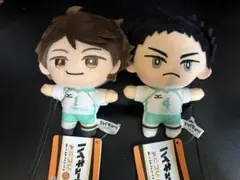 ハイキュー　みにコレ　ぬいぐるみマスコット　及川徹　岩泉一　2種セット