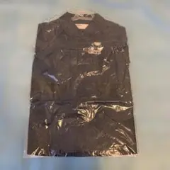 Item thumbnail for item e768aea5-b8c9-4b06-bc5a-be73dd643105