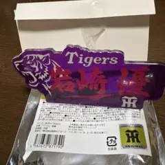 阪神タイガース　岩崎