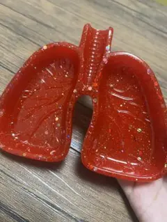 肺の灰皿