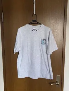Hanes Tシャツ