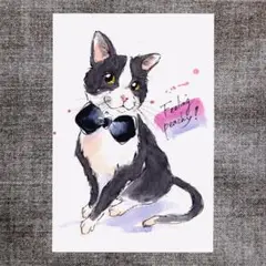 イラスト 原画 ポストカード 絵 【ハチワレ】136