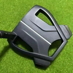 テーラーメイド スパイダーX 33インチ