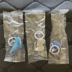 うみのいきもの2 カプセルトイ 3個セット