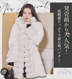 2025年最新】レディー 汚れ・破れ・臭いなど：なし 毛皮・ファー