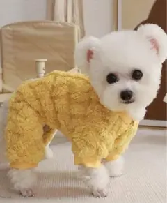 Item thumbnail for item 1d7ce17e-89cc-4e3c-8941-86e20a5a2b32