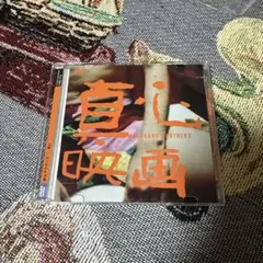真心ブラザーズ⭐︎永瀬正敏主演⭐︎映画DVD