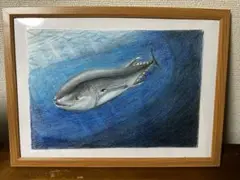 海の仲間　色鉛筆画