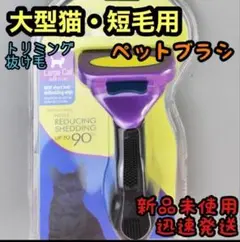 Item thumbnail for item b6082693-550c-4990-b0fc-60d30c9fa6a3