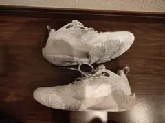 リーニン、Dlo1 26cm