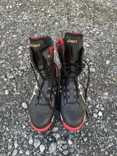 Item thumbnail for item 895af1d2-0b25-4c90-ad72-31433a6b3bc5