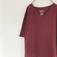 USA購入 arizona Tシャツ