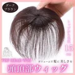ウィッグ 頭頂部 ヘアピース ハゲ隠し ダークブラウン こげ茶 薄毛 A40