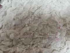 Item thumbnail for item a1124974-e51b-4fb3-8166-1db1bcbcb236