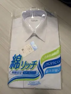 Item thumbnail for item 6bcfa8bf-46c5-4a90-a867-b0880c7f6911