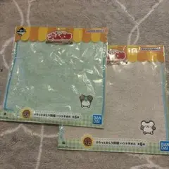 Item thumbnail for item 17c0794c-03b2-49ea-a0a2-499fb71a7915