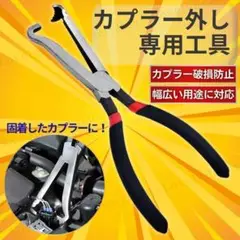 Item thumbnail for item 0a351488-3eec-48e9-b913-45b0b765b9ef