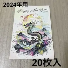 年賀状 2024 20枚入り 私製 印刷済み デザイナーズ ハガキ