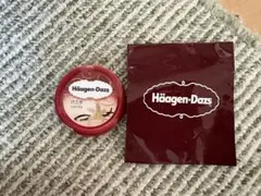 ハーゲンダッツ缶バッチ！！新品