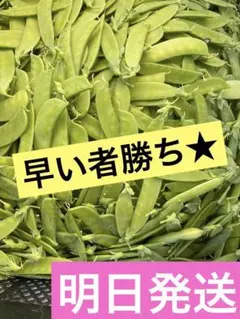 絹さや500g